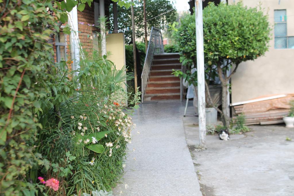 Tlt Guest House Telavi Exterior photo