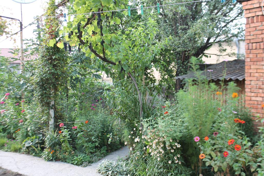Tlt Guest House Telavi Exterior photo