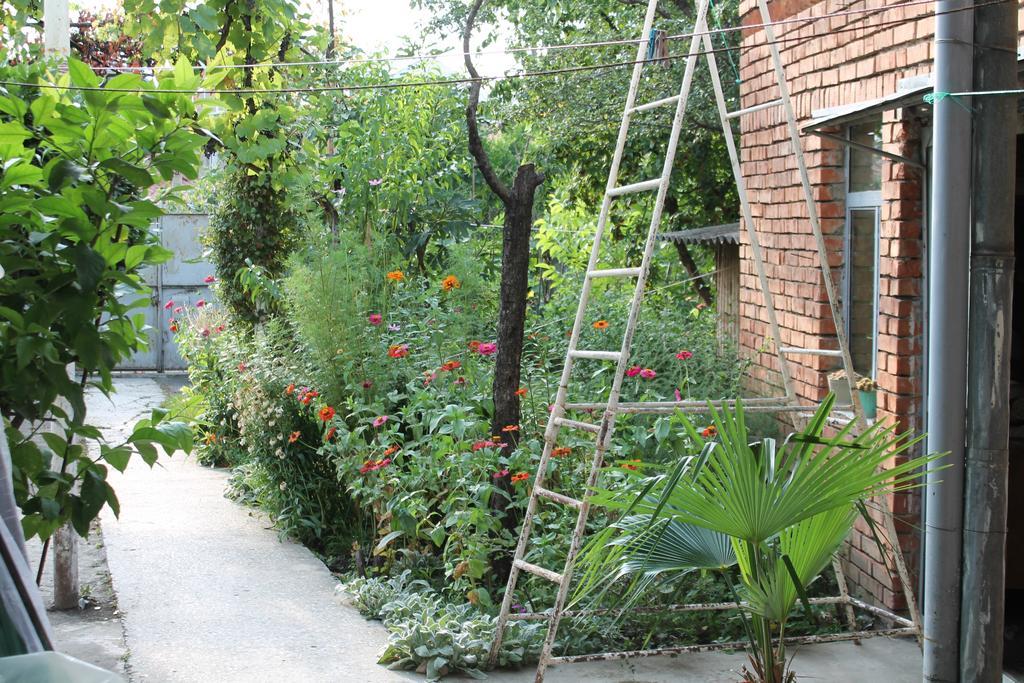 Tlt Guest House Telavi Exterior photo