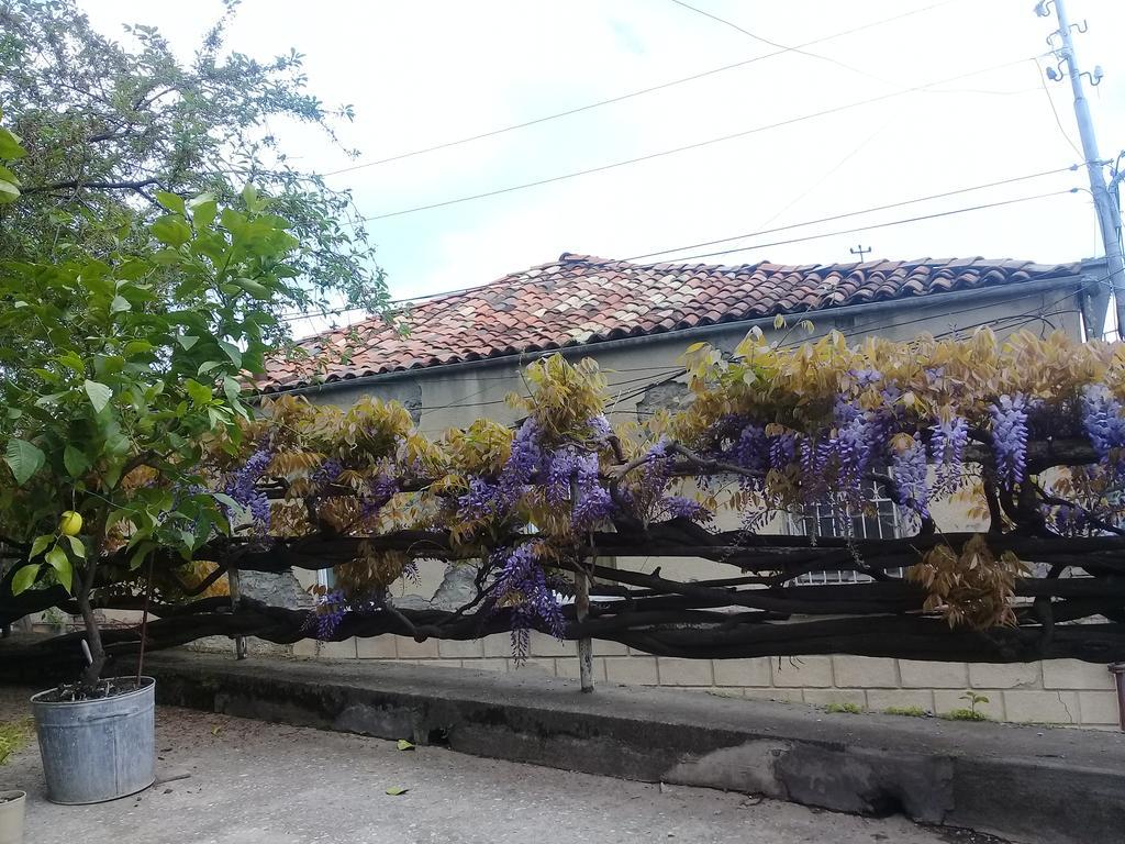 Tlt Guest House Telavi Exterior photo