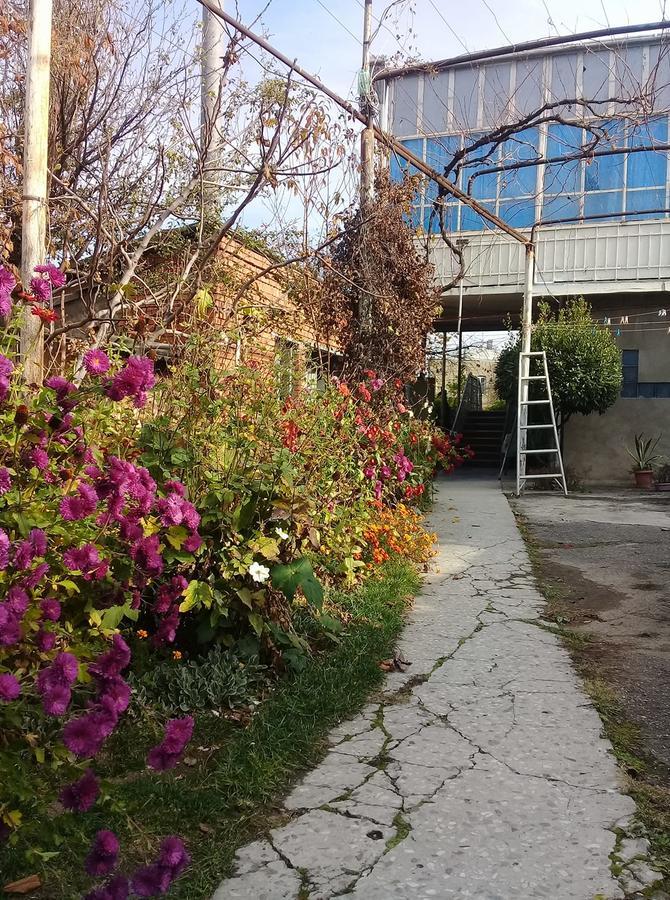 Tlt Guest House Telavi Exterior photo